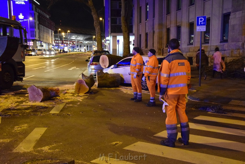 Baum auf PKWs Koeln Mitte Rheinuferstr Goldgasse P109.JPG - Miklos Laubert